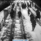 zdjęcie nr 31