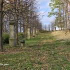zdjęcie nr 33