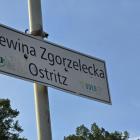 zdjęcie nr 12