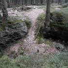 Fotka nr 0 z 20
