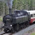 zdjęcie nr 115