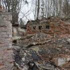 zdjęcie nr 34