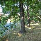 zdjęcie nr 42