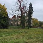 zdjęcie nr 