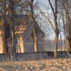 zdjęcie nr 48