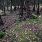 zdjęcie nr 55