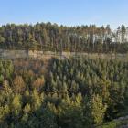 zdjęcie nr 16