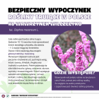 Fotka nr 5 z 14