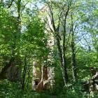 zdjęcie nr 46