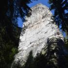 zdjęcie nr 