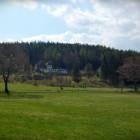 zdjęcie nr 8