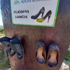 Fotka nr 3 z 7