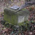 zdjęcie nr 37