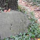 zdjęcie nr 30