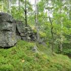 zdjęcie nr 26