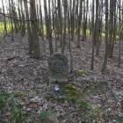 zdjęcie nr 8