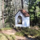 zdjęcie nr 8