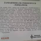 zdjęcie nr 10