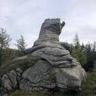 zdjęcie nr 32