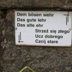 Fotka nr 2 z 8