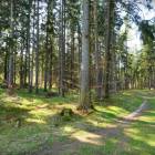 zdjęcie nr 30