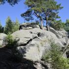 zdjęcie nr 29