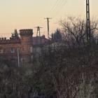 zdjęcie nr 8