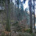 zdjęcie nr 8