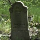 zdjęcie nr 36
