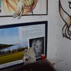 zdjęcie nr 9
