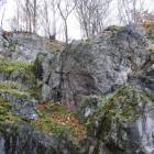 zdjęcie nr 8