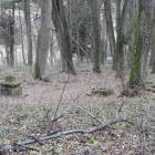 zdjęcie nr 34