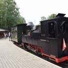 zdjęcie nr 29