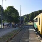 zdjęcie nr 9