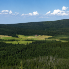 zdjęcie nr 40