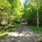 zdjęcie nr 18