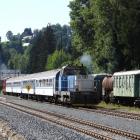 Fotka nr 5 z 20