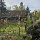 zdjęcie nr 74