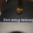 zdjęcie nr 31