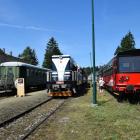 zdjęcie nr 36