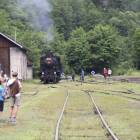 zdjęcie nr 43