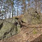 zdjęcie nr 9