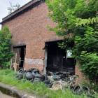 zdjęcie nr 8