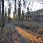 zdjęcie nr 22