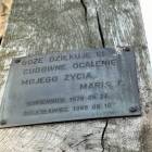 zdjęcie nr 34