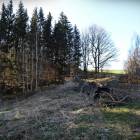 zdjęcie nr 33