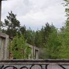 zdjęcie nr 19