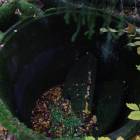 zdjęcie nr 39
