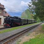 Fotka nr 2 z 23