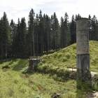 zdjęcie nr 34